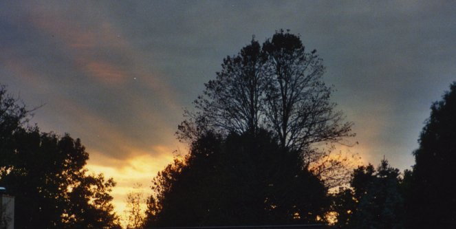 Sunrays